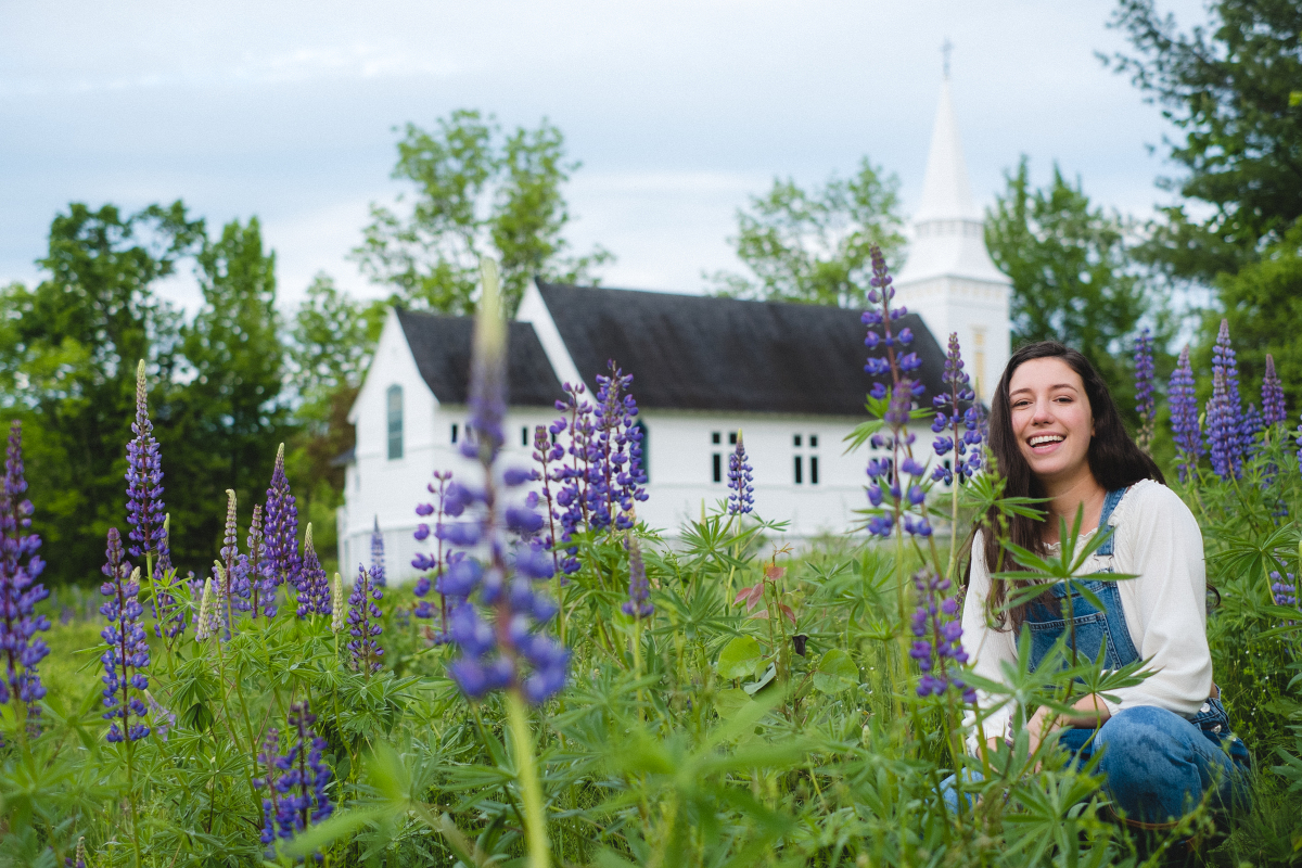 How To Celebrate The Lupine Festival At Sugar Hill New Hampshire