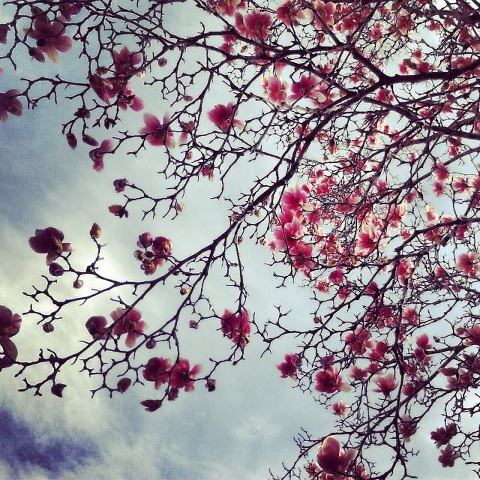 10004008_10152364971942269_39406613_n