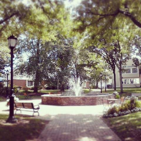 11873691_10153574795507269_1391012725536572104_n