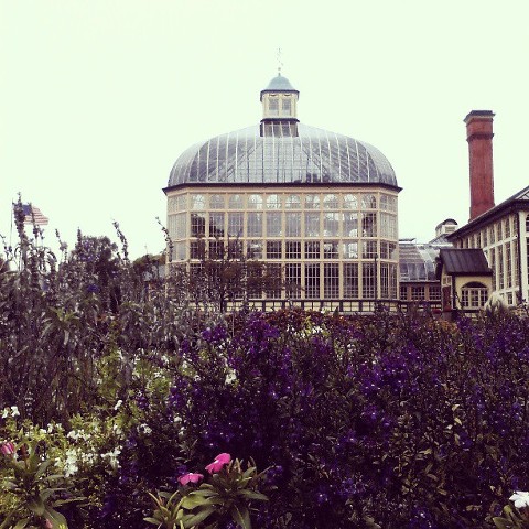 1376330_10151994720712269_940284371_n