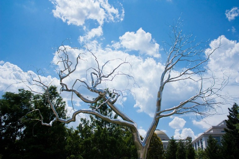 456547_10151034222907269_1786803964_o