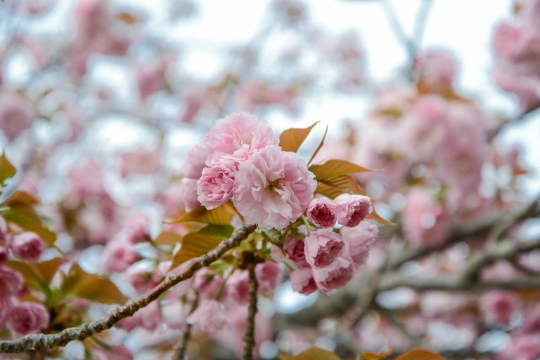 976529_10151673698867269_1879651339_o