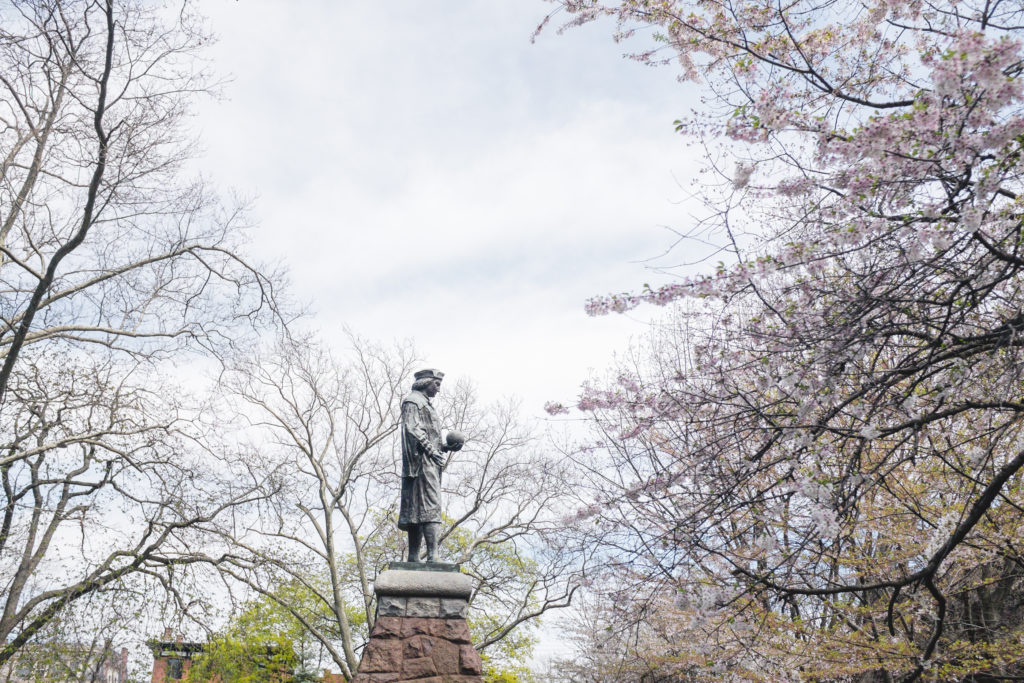 New Haven Cherry Blossom Festival 2025 Alfi Olivie