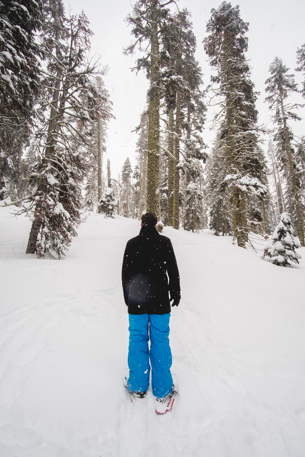 Checking Off Snow Shoeing From My Life Goal List | Yosemite Ski ...