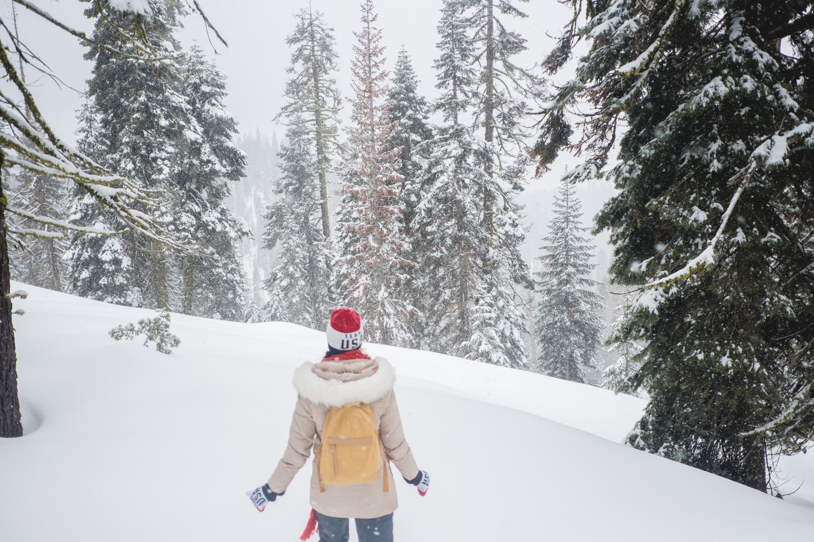 Checking Off Snow Shoeing From My Life Goal List | Yosemite Ski ...