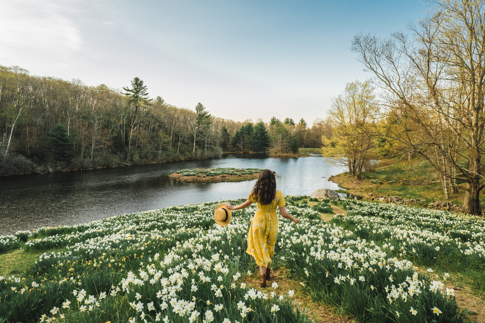 Twenty Places To Find The Spring Flowers | Connecticut Charm - Live ...
