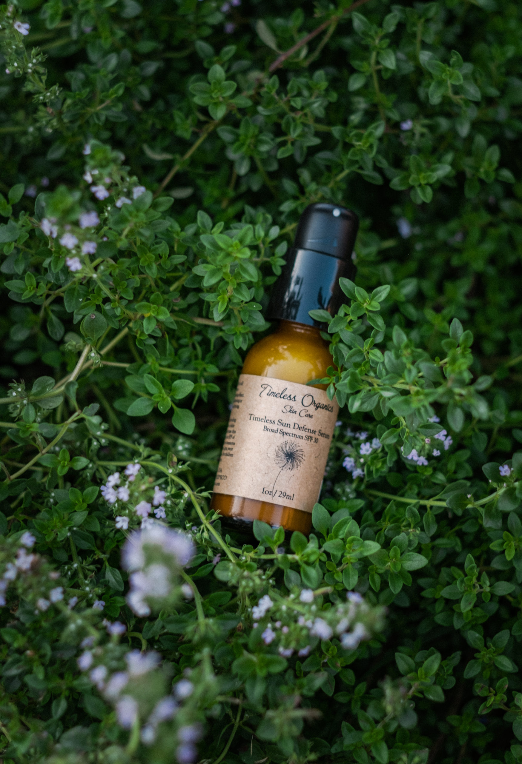 Timeless Sunscreen Organic SPF With Timeless Organics |Timeless Sun defense - Live Lovely ...